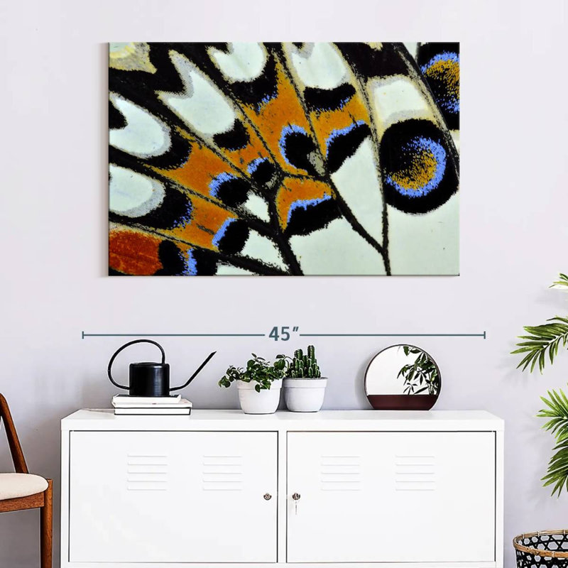 Brampt Butterfly Wing Close Up, 26" H x 39" W