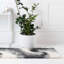 Tapis abstrait kaki -1839374222-1877776011