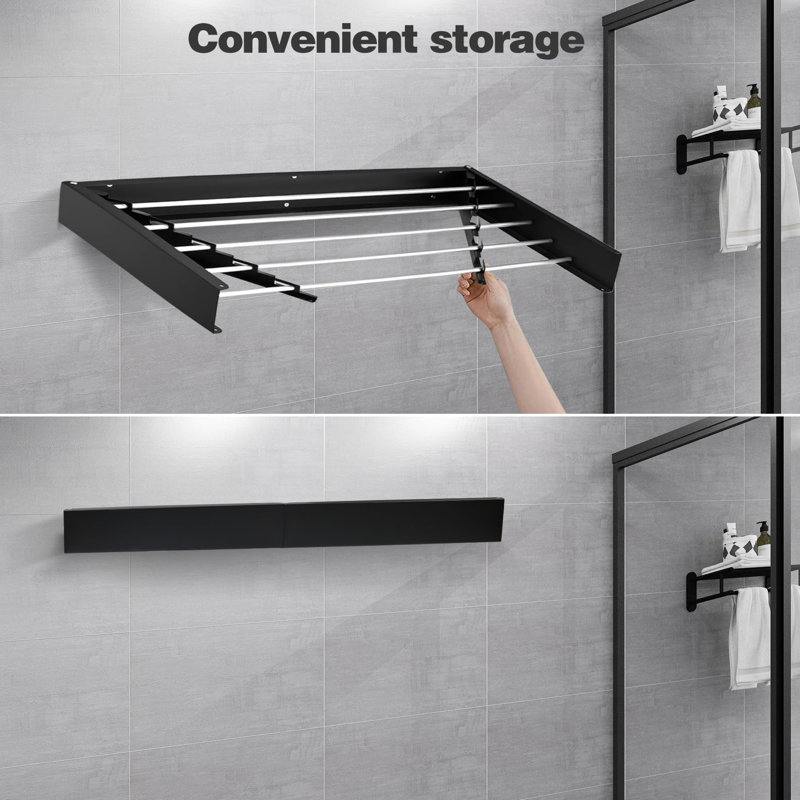 Stainless Steel Wall Mounted Clothes Rack, Black