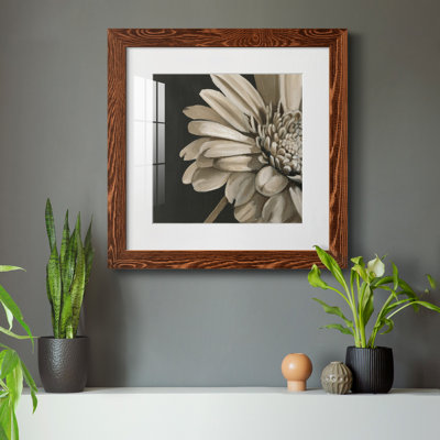 " Classical Blooms IV "