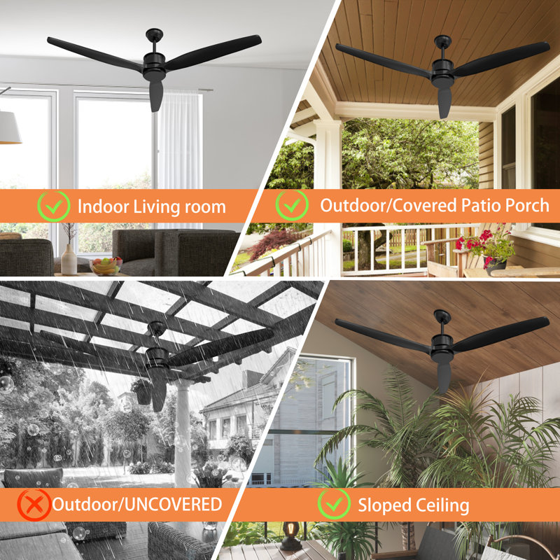 Ceiling Fan