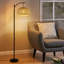 Aaftab 162.5cm Black Arched/Arc Floor Lamp