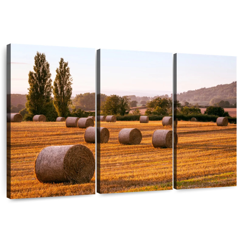 Hay Bales In Herefordshire