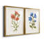 «Botanical I», ensemble de 2 reproductions d'art-272082548-271774477-272082549
