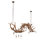 Dragelin 8 - Light Chandelier