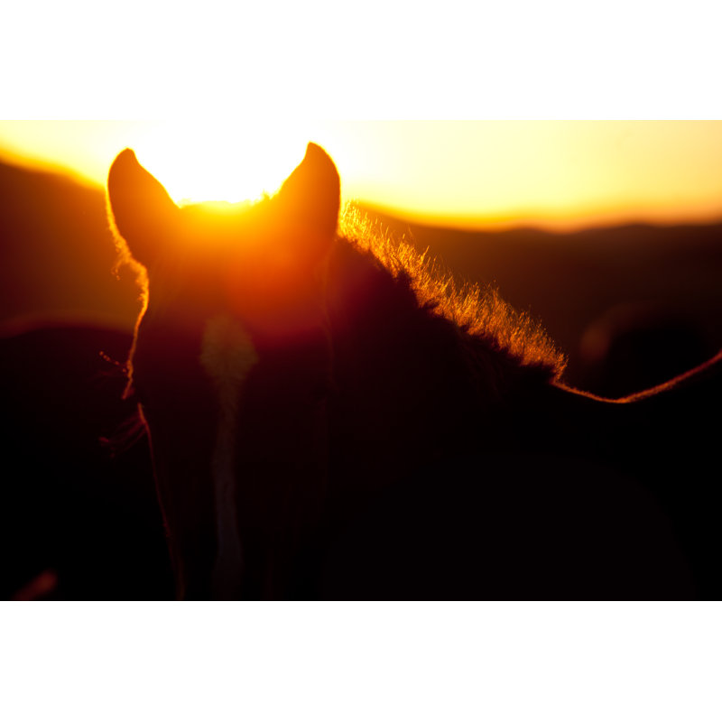 Riverrock Sunset And Horses - Wrapped Canvas Print, 30cm H x 46cm W x 3.8cm D