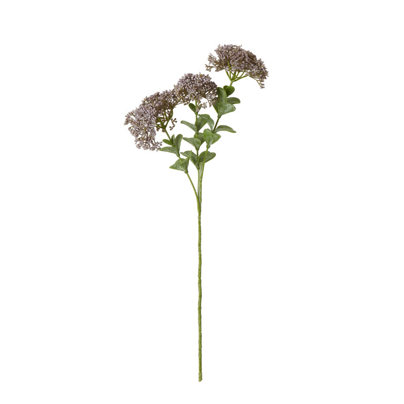 Anastasija Arrangement, Purple