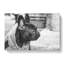 French Bulldog Vol.2 - Wrapped Canvas-61855286