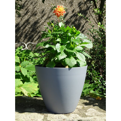 Vanburen Pot Planter
