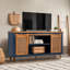 Amaka Luxe 60" TV Stand - Fully Assembled