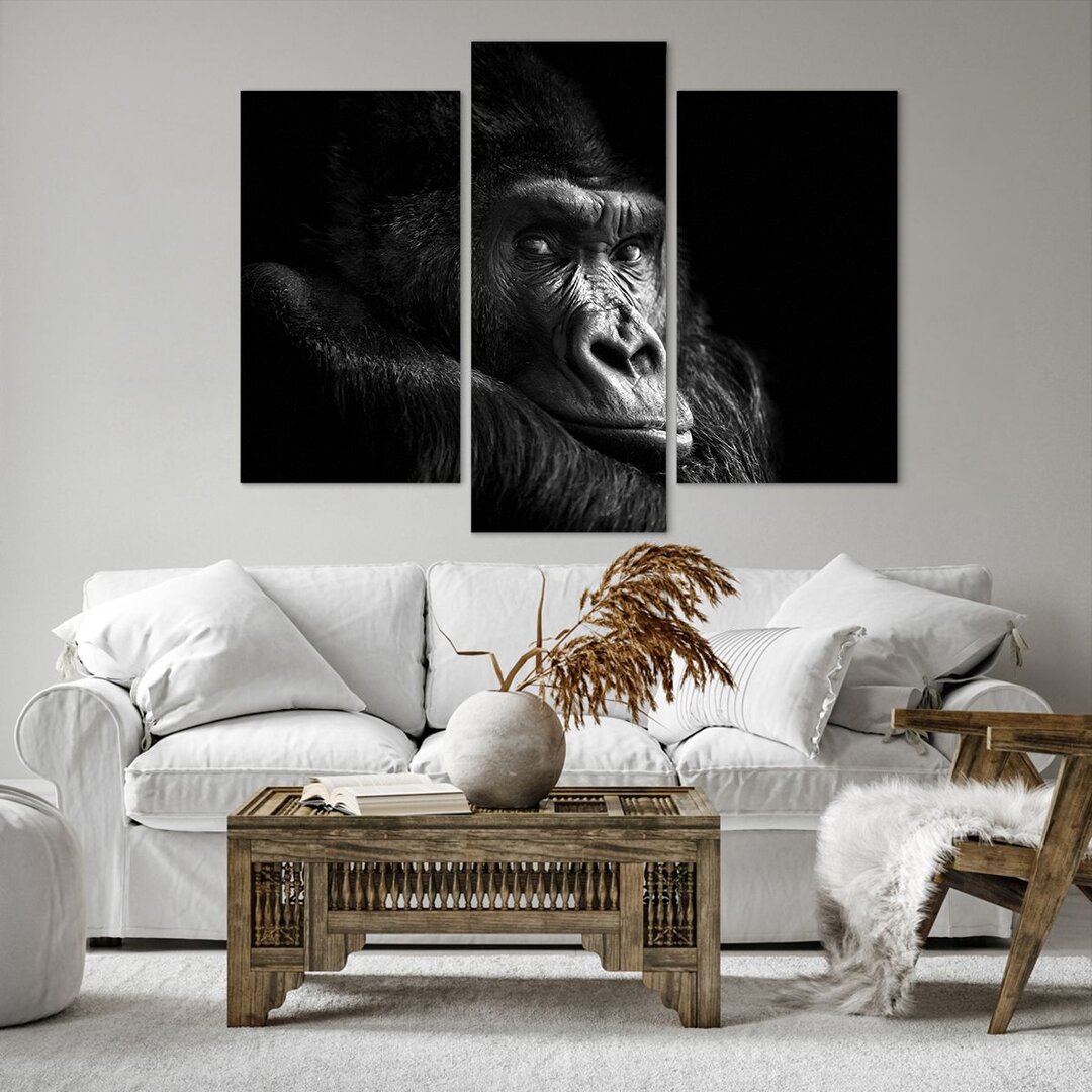 3-tlg. Leinwandbilder-Set Monkey Gorilla Portrait