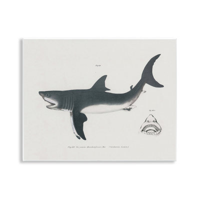 Plaque murale détaillée avec motif de requin, design par Phillipa Katz