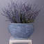 Vase de table en porcelaine Aegean