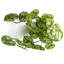 Hanging Plants 35cm Faux Foliage Plant