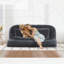 Lit convertible pour chien en couple-1458583271