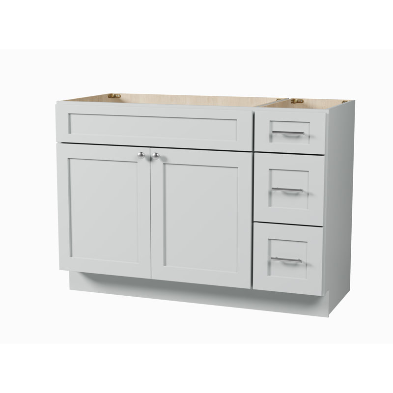 Disar 48" Single Bathroom Vanity Base Only, Gray