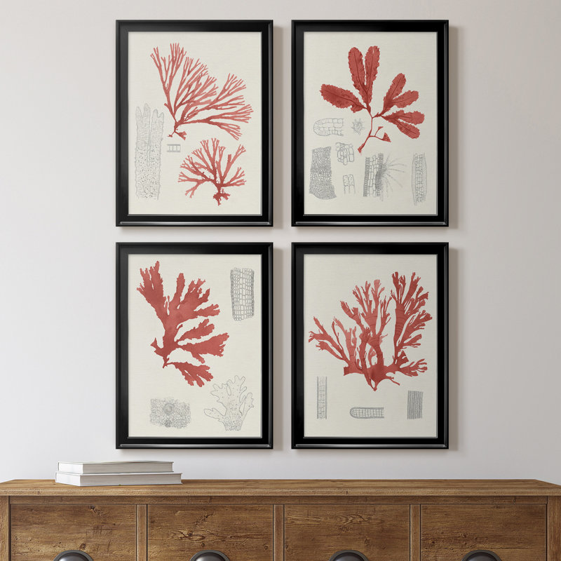 «Vintage Coral Study I», toile encadrée de qualité supérieure - prête à être accrochée, Cadre noir