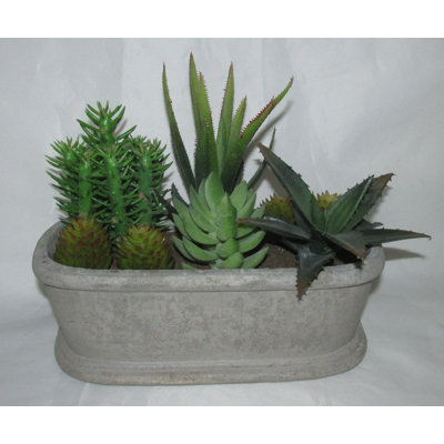 7.5'' Faux Succulent in Ceramic Basket