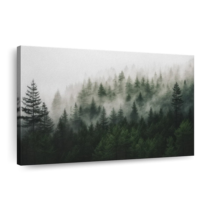 Forêt enveloppée de brouillard sur toile, H 8 po x l 12 po x P 1 po