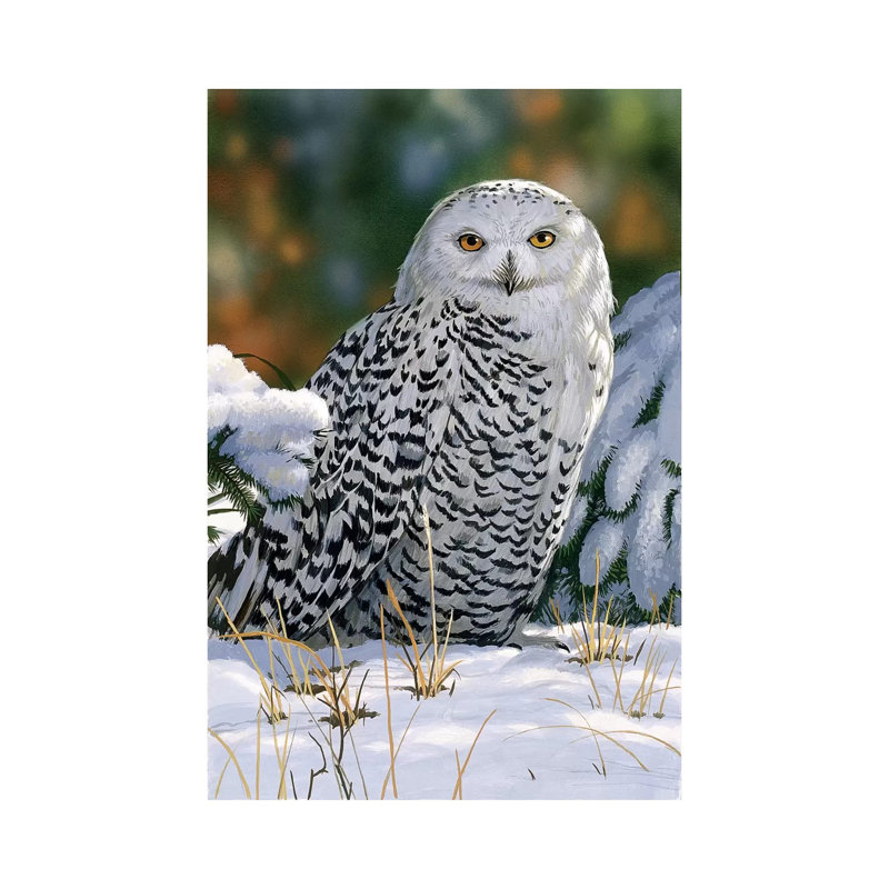 Snowy Owl by William Vanderdasson - Wrapped Canvas Gallery-Wrapped Canvas Giclée, 20.32 cm H x 30.48 cm W
