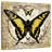 Brampt Honey Bee Butterfly II-109357817