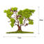 Traditional Landscape & Nature Wall Decor on Wood