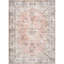 Oriental Area Rug-1868570948