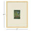 Mid Century Monoprints Giclee Print