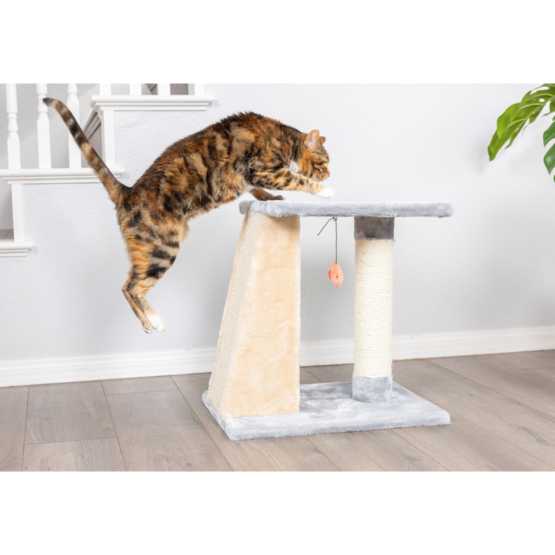 20'' H Cat Tree