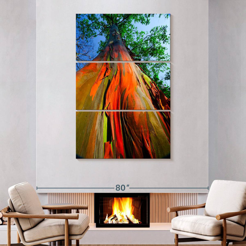 Harnek Rainforest Rainbow Eucalyptus, 74" H x 48" W