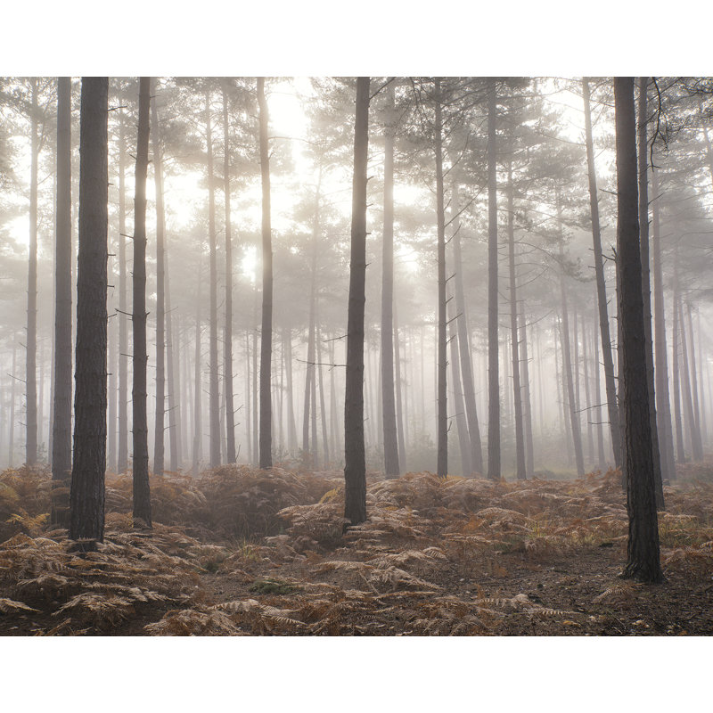 Panneau mural 6 panneaux Atmosphere Forest In The Mist - hauteur 8,2 pi x l 10,4 pi
