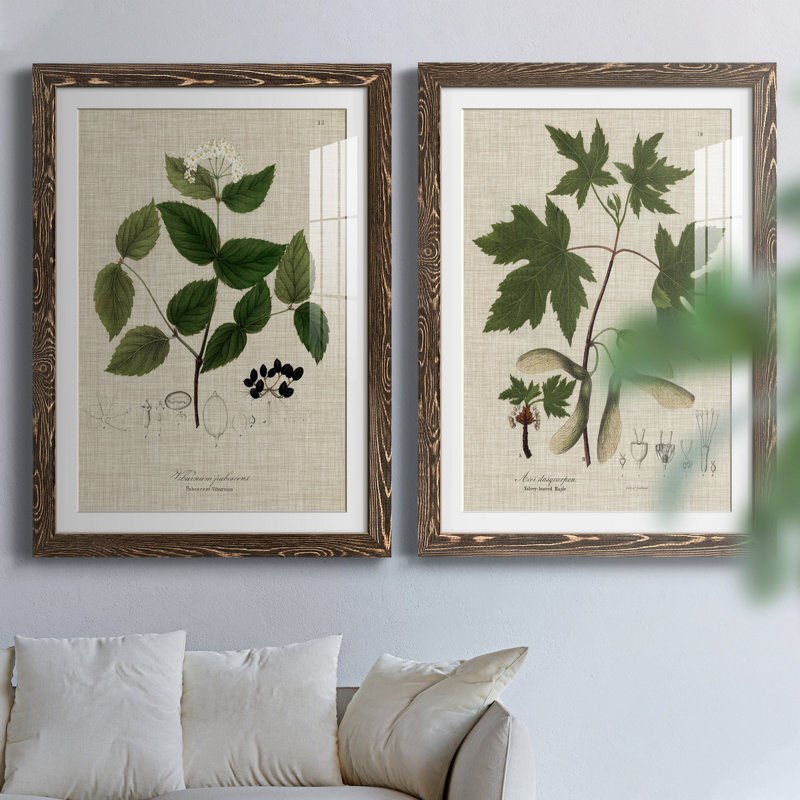Lin et feuilles I - ensemble de 2 reproductions d'art sur papier encadré, H 31,5 po x l 47 po x P 1,5 po, Papier, cadre noyer