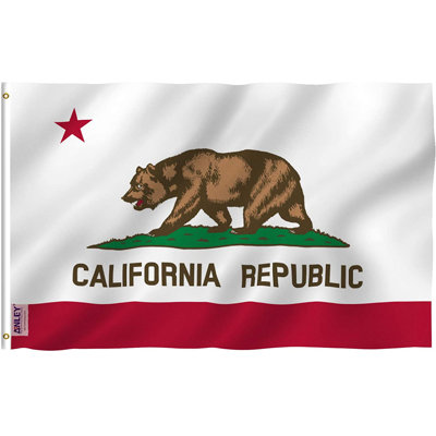 American US State Flag Polyester 36 x 60 in. House Flag
