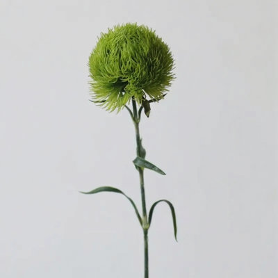 Green Trick Dianthus Stem â€“ 21.7"