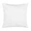 Nealey Indoor / Outdoor Square Cushion