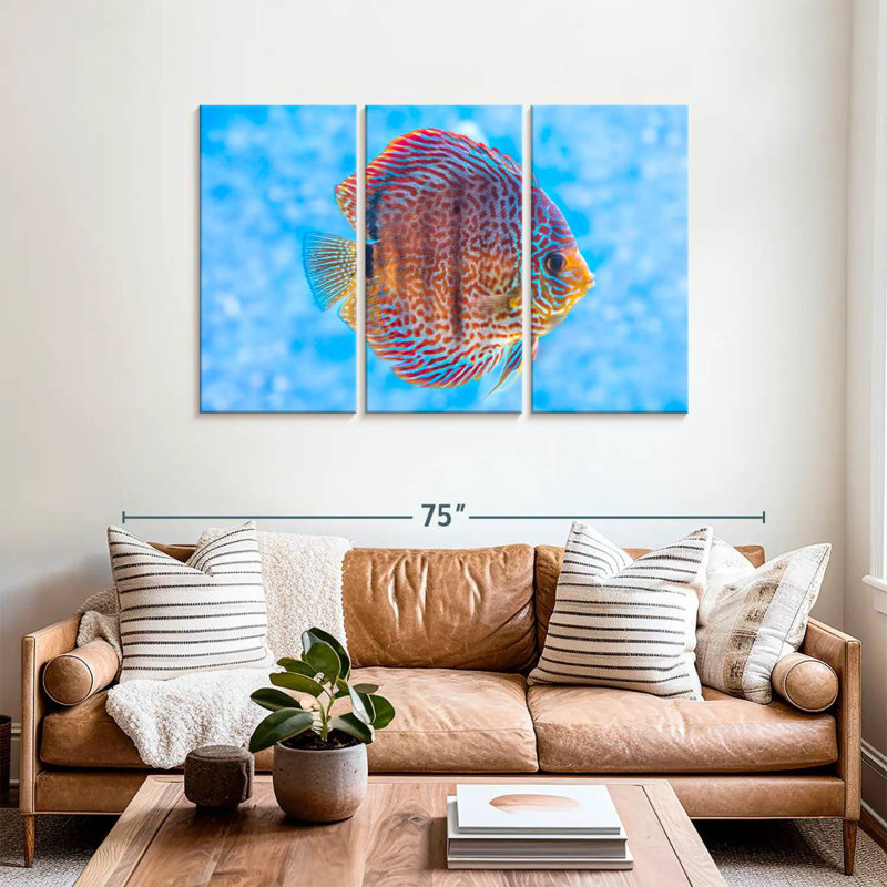 Brampt Freshwater Discus Fish, 36" H x 57" W