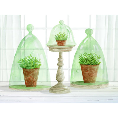 " Garden Cloche Trio I "