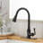 VIBRANTBATH Kitchen Faucet-141362555-141362558