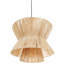Anesa 1 - Light Natural Novelty Pendant