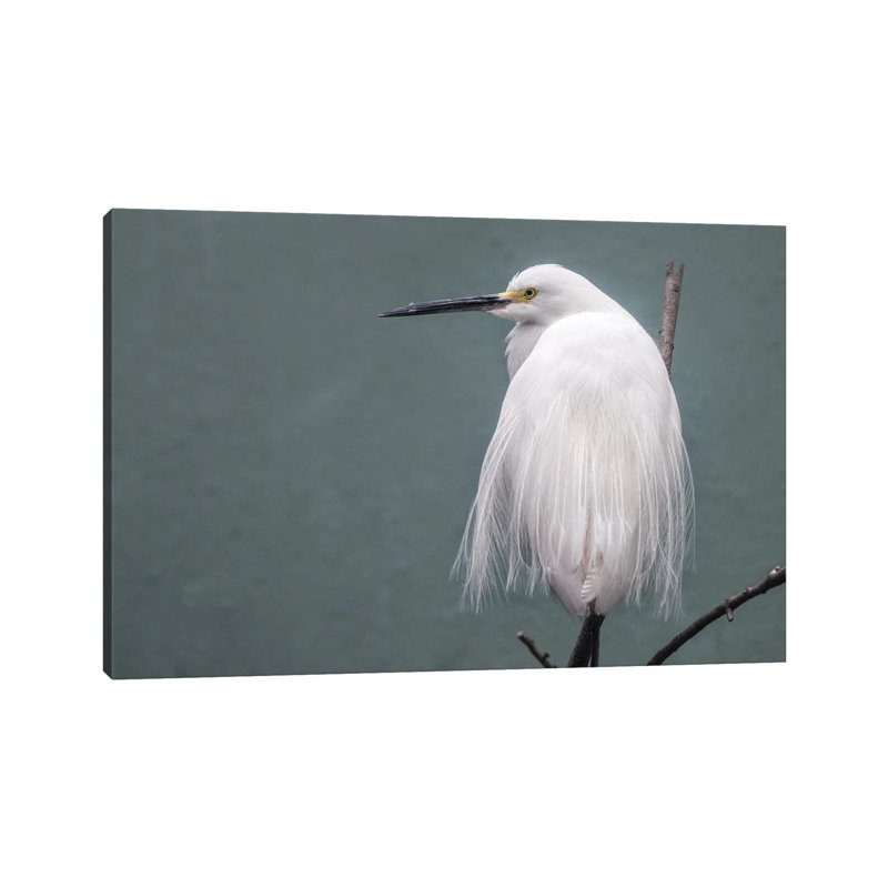 Egret 1 Piece Wrapped Canvas Wall Art, 30.48cm H x 45.72cm W