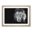 Portrait of a Lion - Picture Frame Painting Print-56758422-56758423