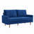 Blue Velvet selected