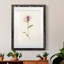 Mauve Garden Flowers VI - peinture encadrée-955008972-955008978