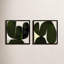 Succulent Set Of 2 Print by StudioM-133974784-133974847