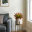 Agave artificielle-305410914-310408673