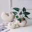 Vase de table Breelyn-536881366