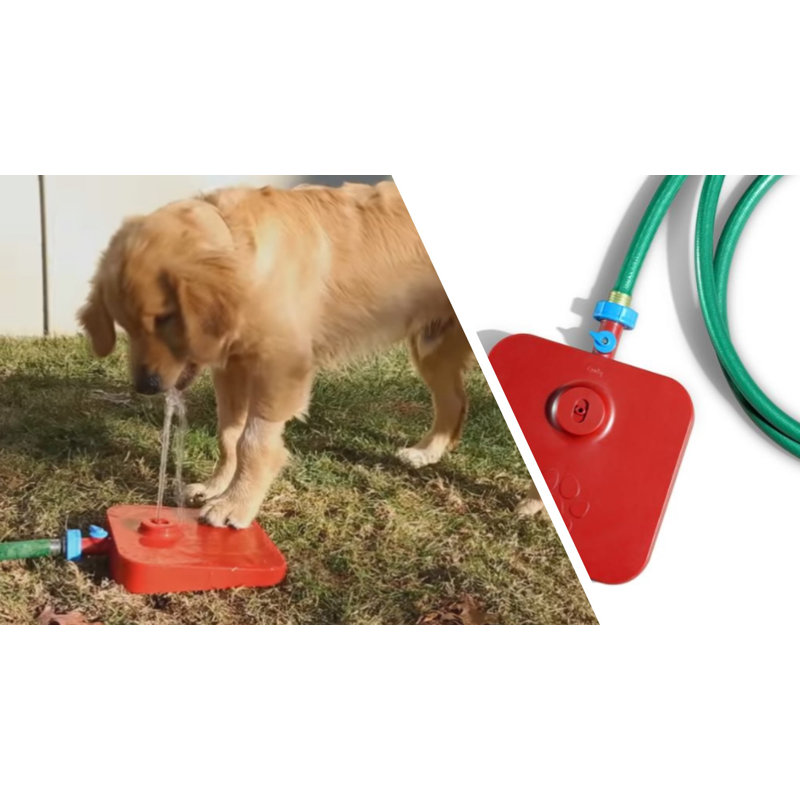 Pet Fountain