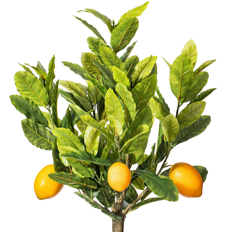 Artificial Potted Lemon Tree, 36" H x 20" W x 20" D