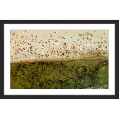 " Seaweed " by Karolis Janulis