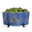 Scalamandre Planter